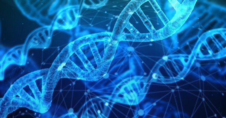 Gene switch