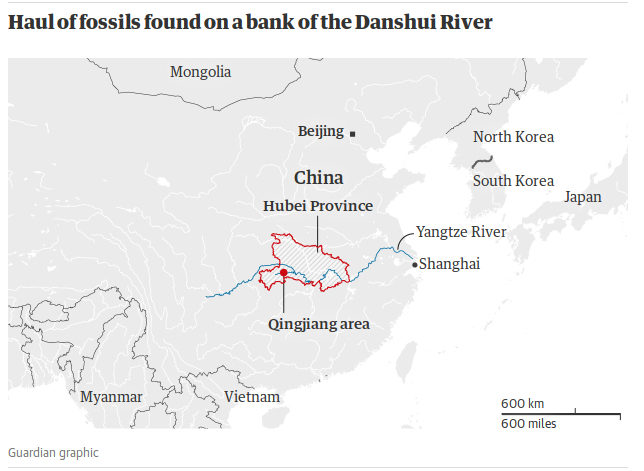 danshui map