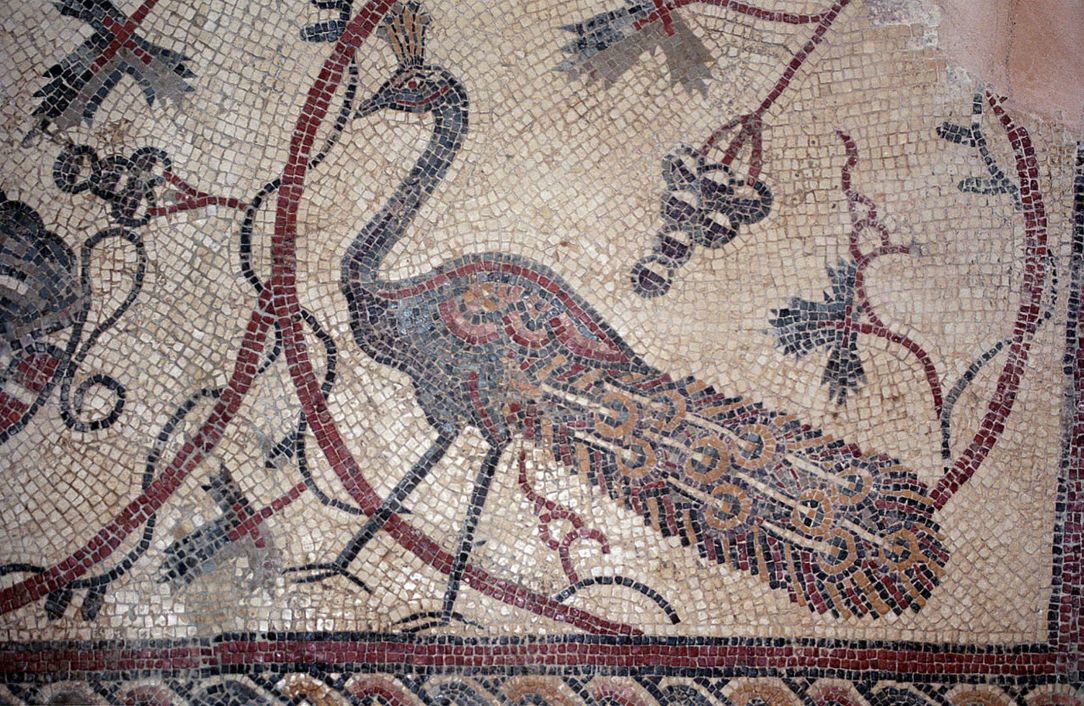 Click to enlarge mosaic