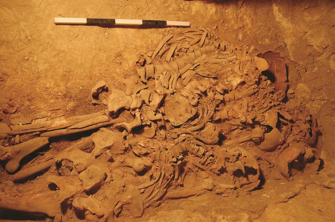 Click to enlarge burial