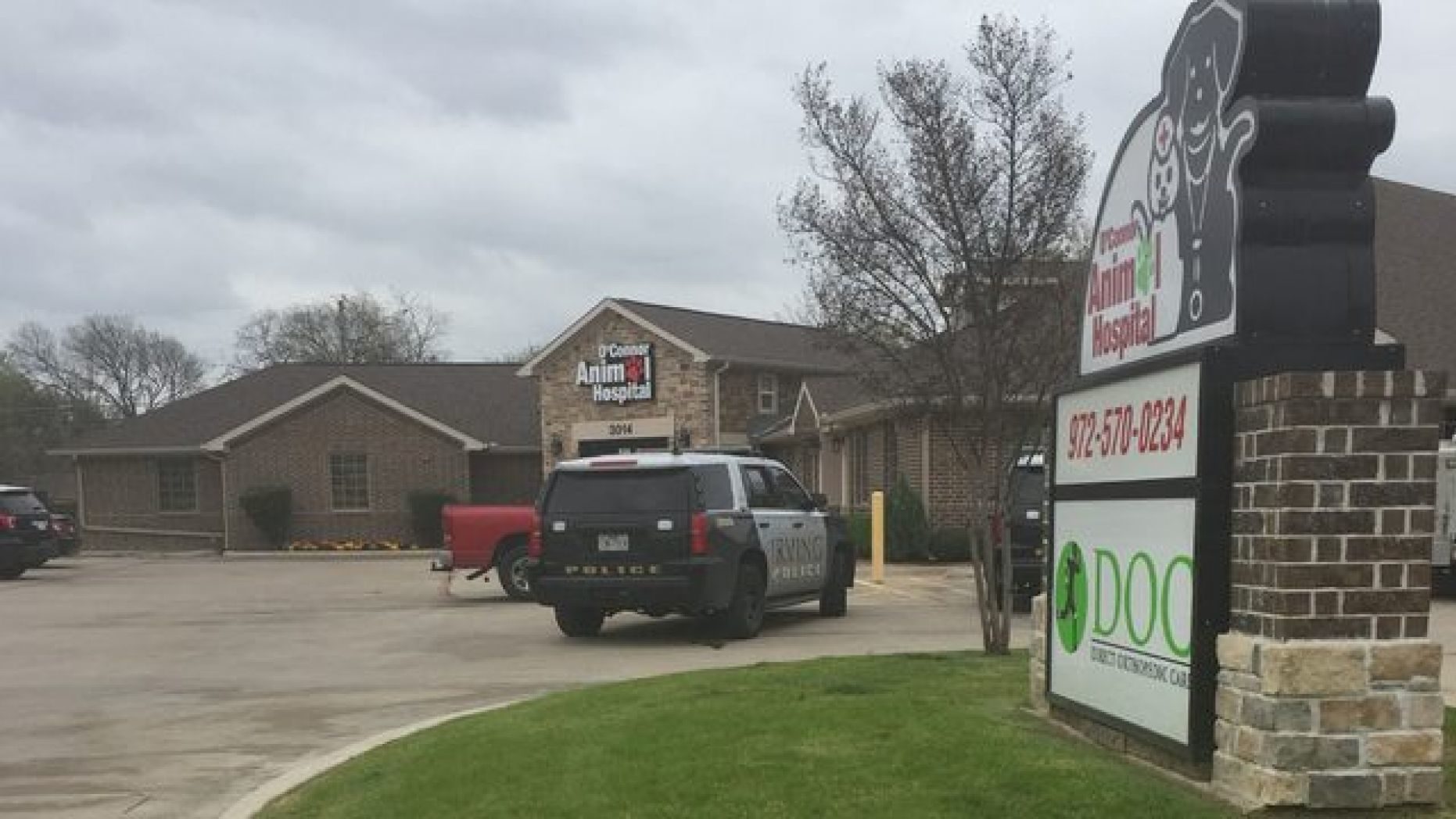 Click to enlarge A Texas woman died on Saturday after she was “attacked by her two pit bull terriers,” police said.