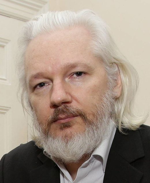 Click to enlarge Julian Assange