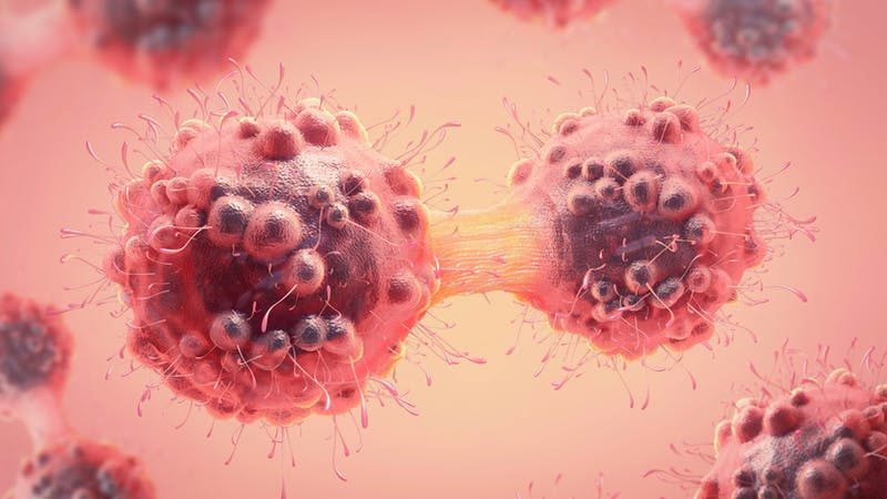 cell division illustration