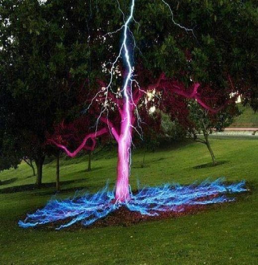 Click to enlarge Don't Stand Under Trees In A Storm