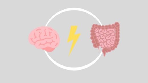 brain gut connection