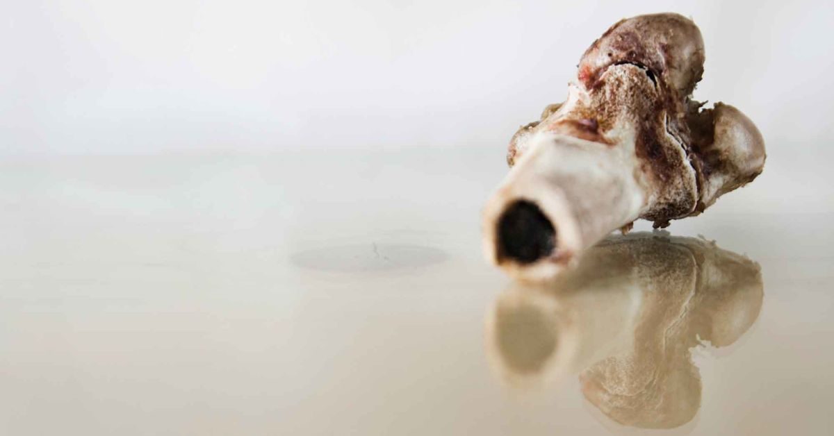Bone Marrow
