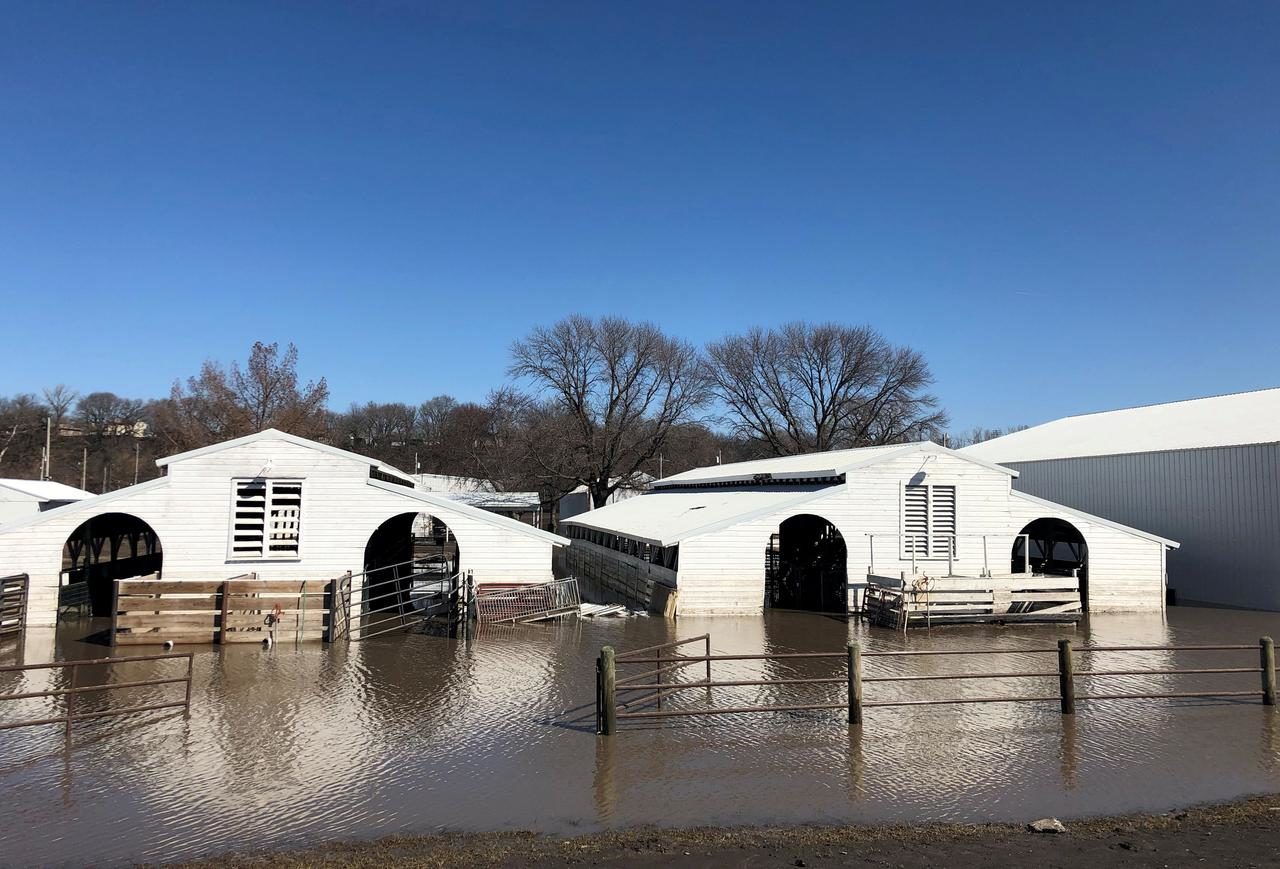 Click to enlarge Paddocks at Washington County Fairgrounds