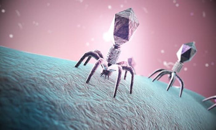 Click to enlarge bacteriophages