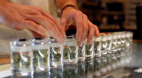 Medical cannabis