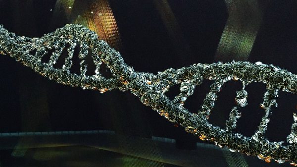 Click to enlarge Biological irregularities