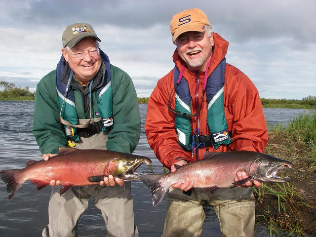salmon