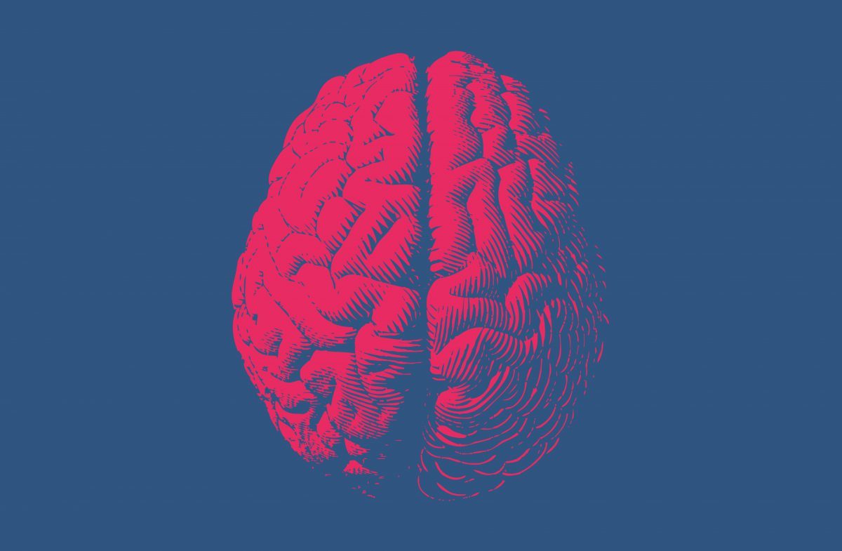 brain illustration