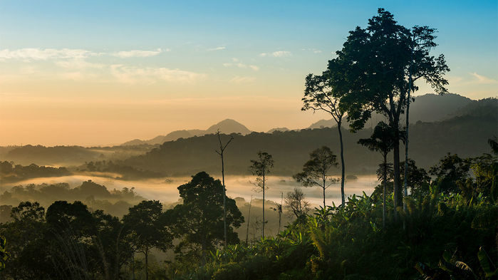 Click to enlarge New Guinea