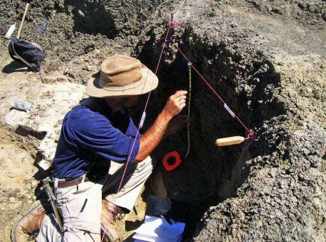 robert depalma paleontologist