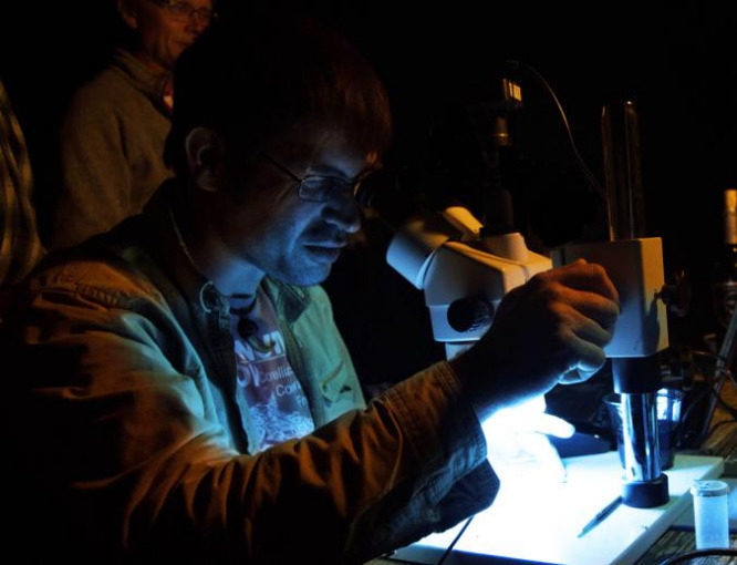 robert depalma paleontologist