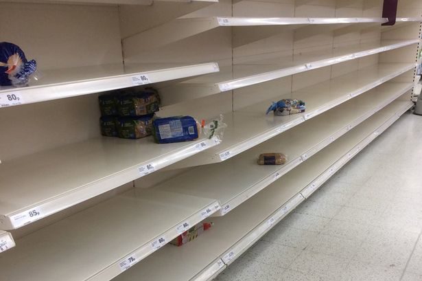 no food