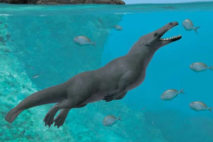 early whale