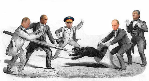 putin cat