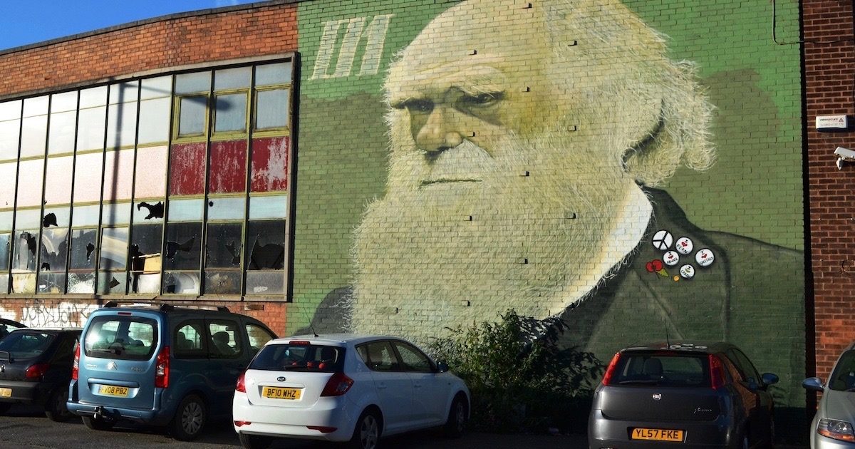 darwin mural