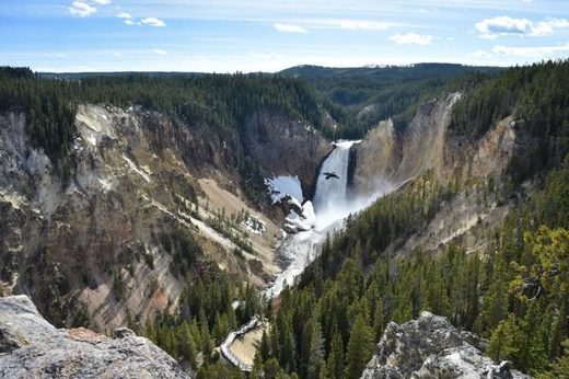 New thermal area discovered at Yellowstone supervolcano