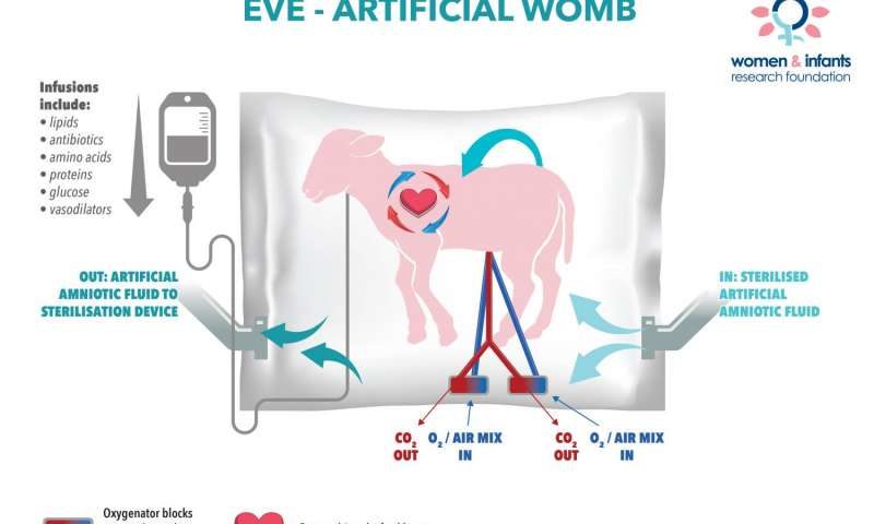 Click to enlarge EVE therapy