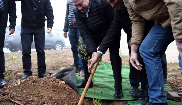 Click to enlarge netanyahu tree plant
