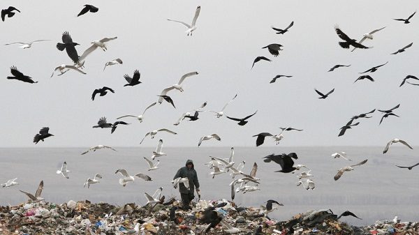 Garbage dump