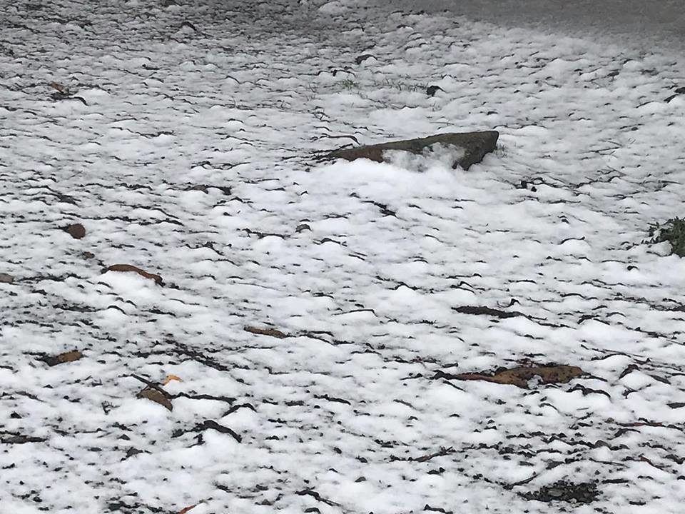 Click to enlarge snow