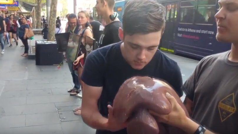 eating raw liver