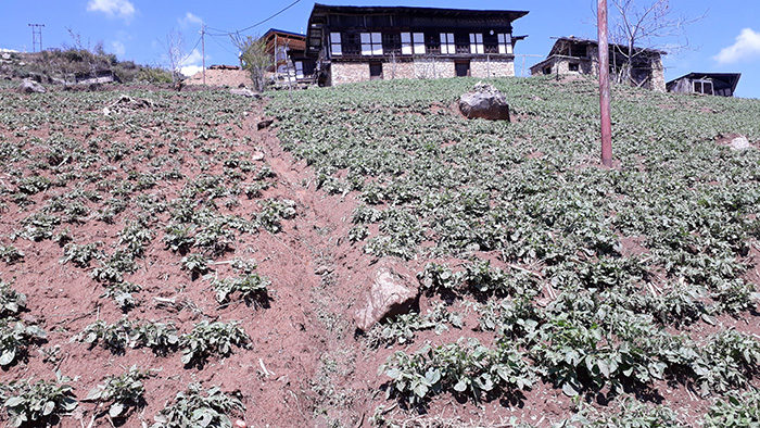 Hailstorm destroys crops