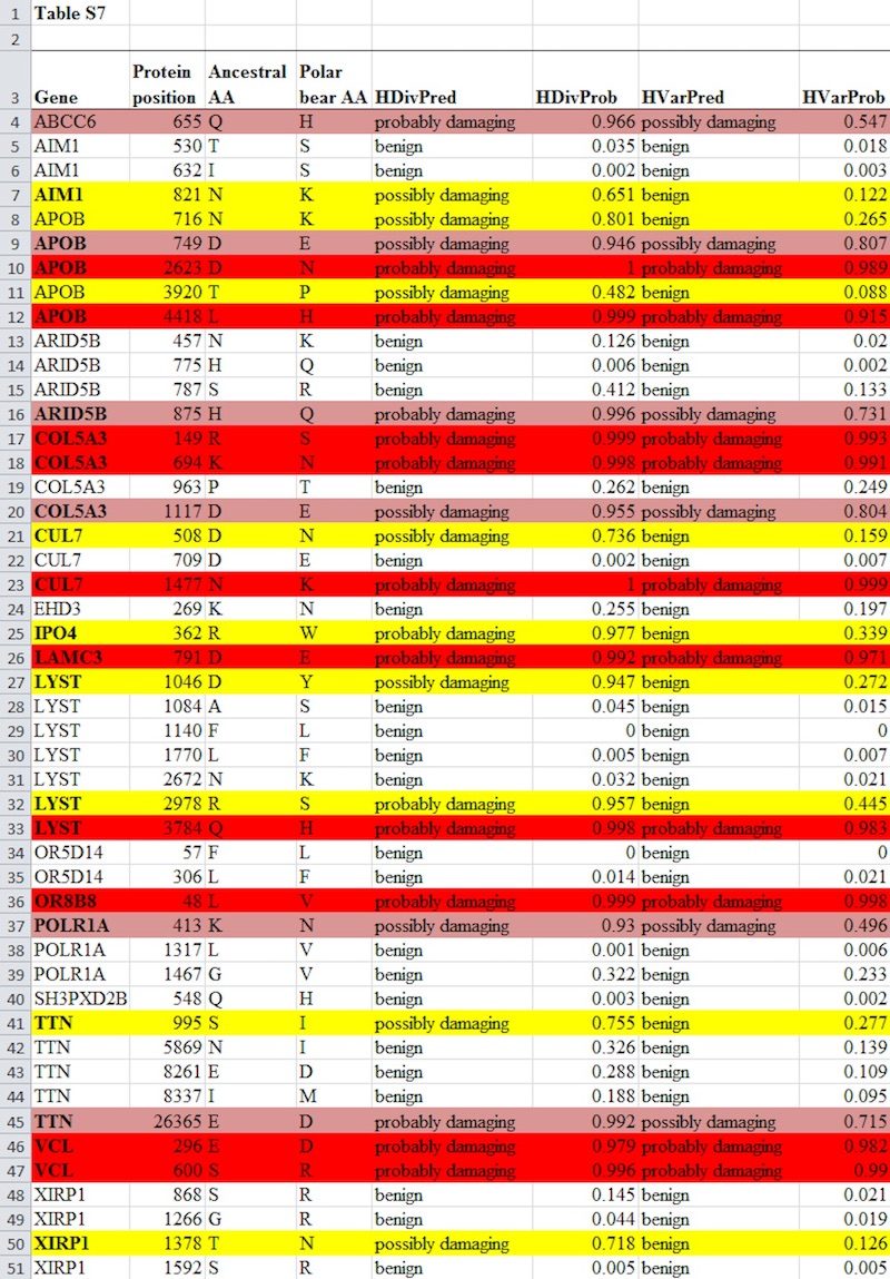 apob mutations