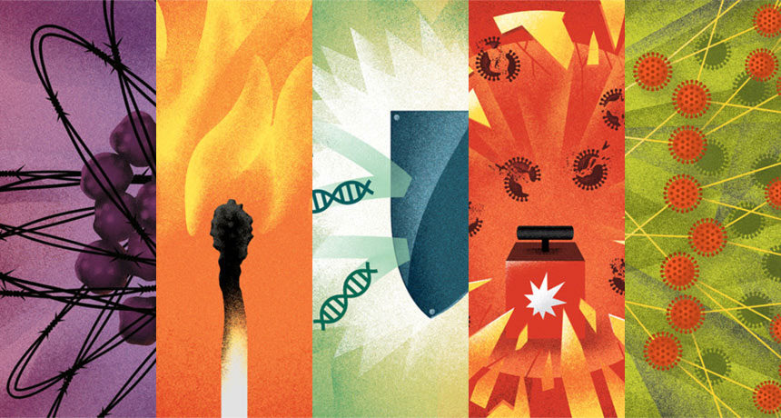Click to enlarge RNA molecules health roles