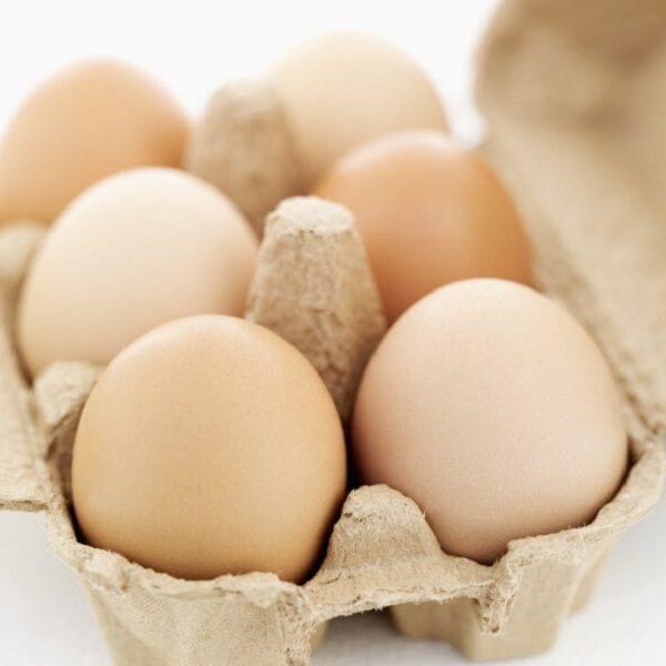 eggs