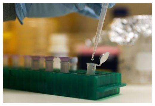 Click to enlarge IVF Technique