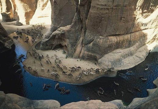Click to enlarge Oasis