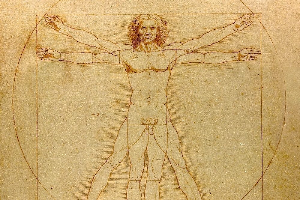 Click to enlarge Vitruvian Man