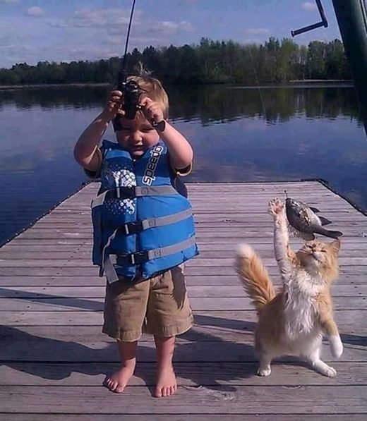 Click to enlarge Cat thieve