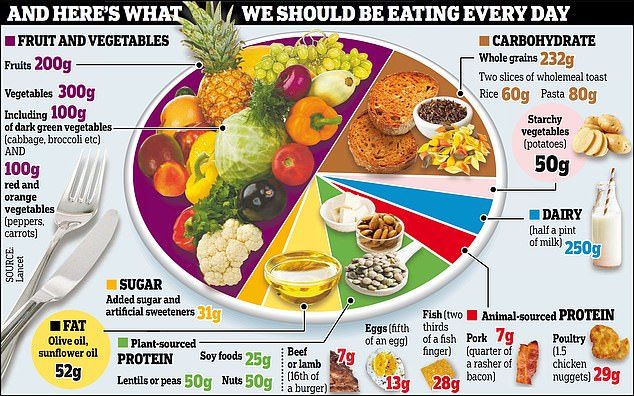plant based diet