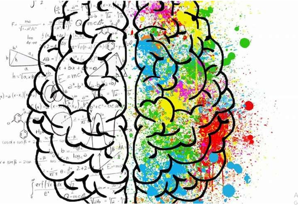 brain
