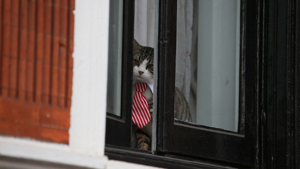 Embassy Cat Assange