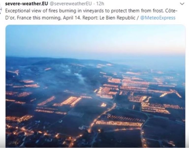 French vineyards freeze again