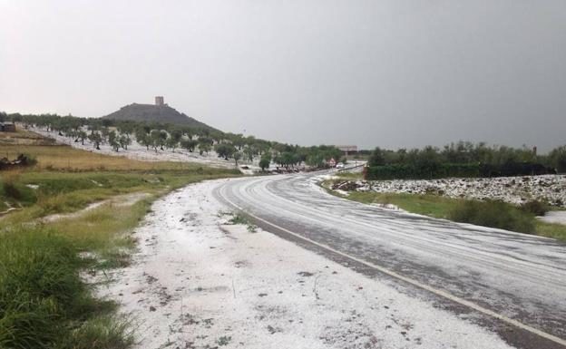 The storm affected fields of olive and almond trees.