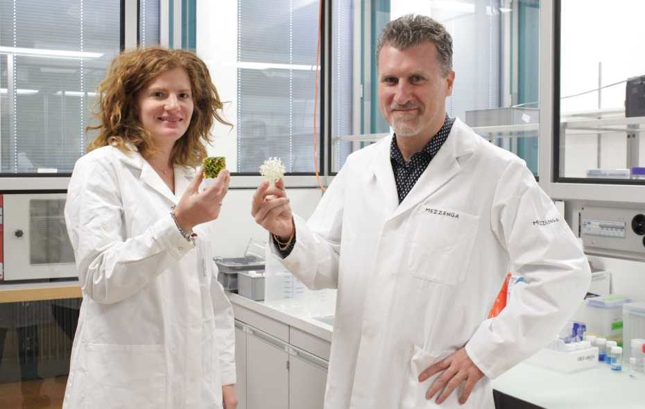 Click to enlarge researchers