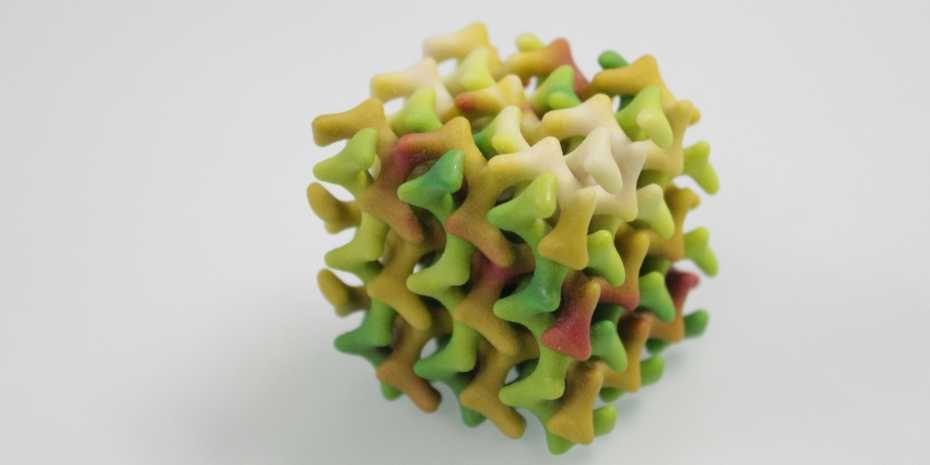 lipid mesophase