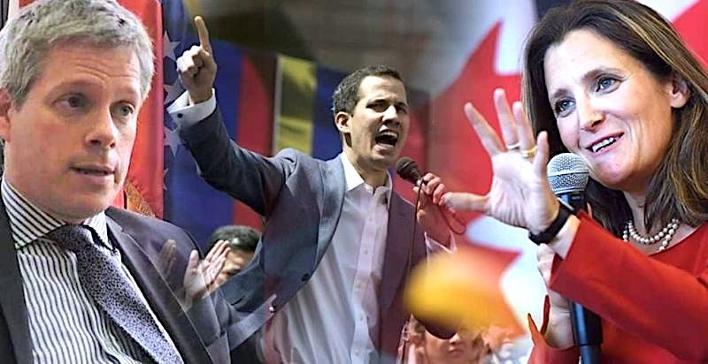 Rowswell,Guaido,Freeland