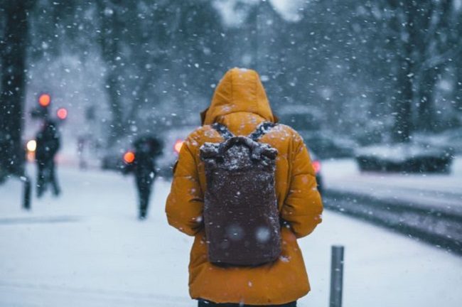 Falling Snow