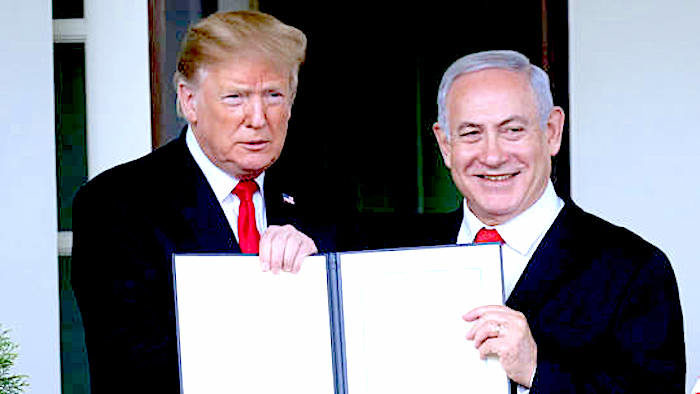 Click to enlarge Trump/Neti