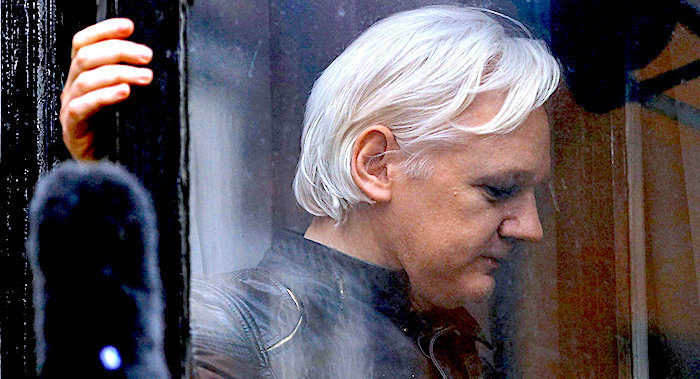 Click to enlarge Assange