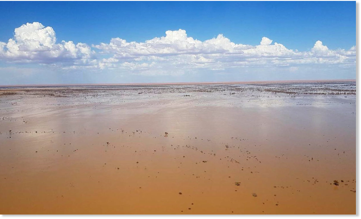 Australia's legendary inland sea, Lake Eyre, is filling, greening the