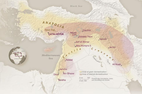 catalhoyuk